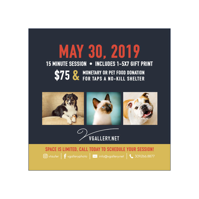 Raining-Cats-&-Dogs-Promo-Card-Back.jpg