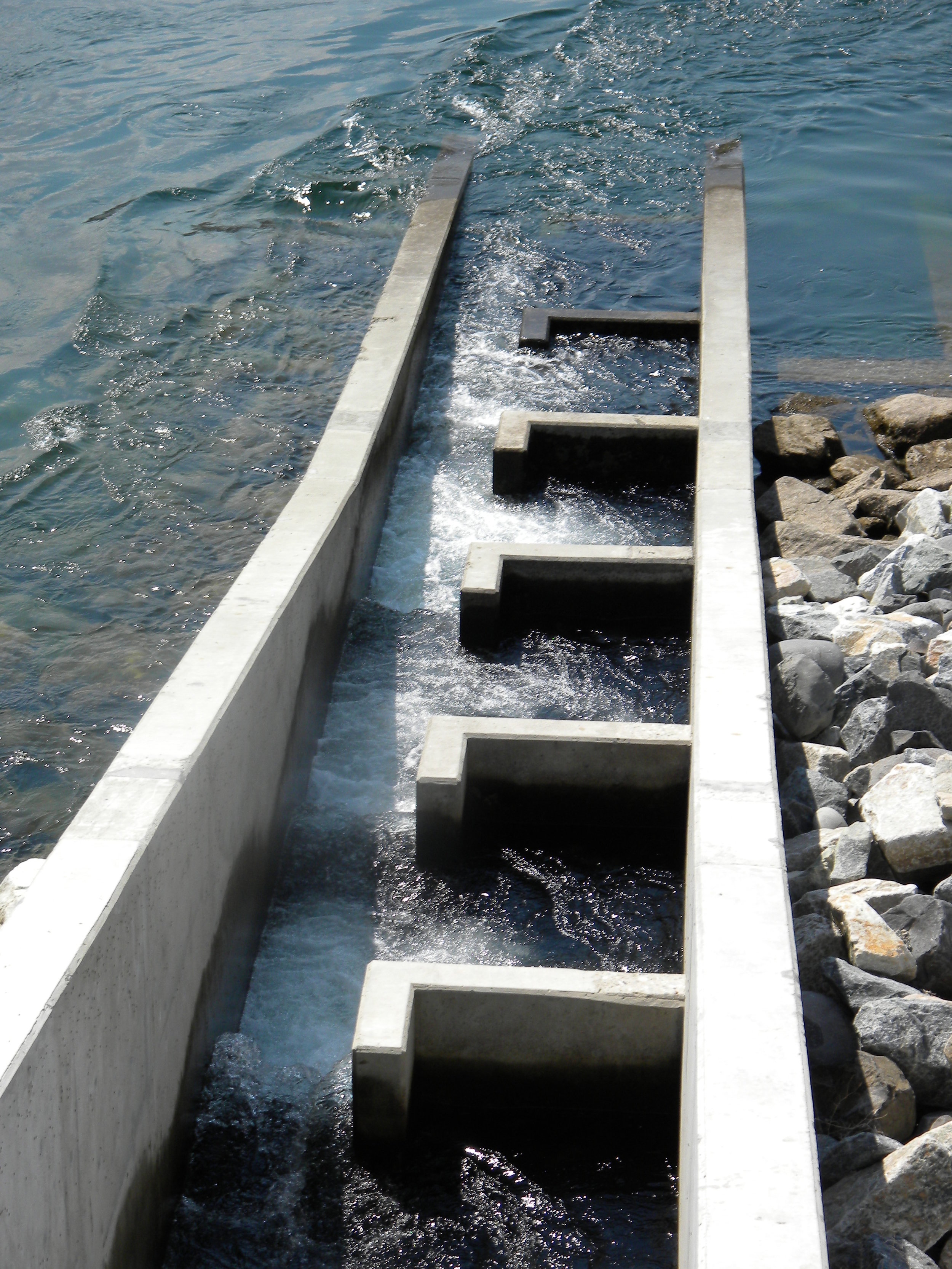 fish ladder from above.jpg