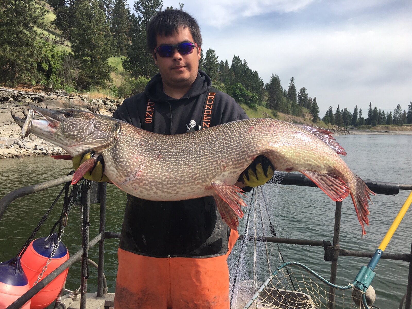 Michael Peoples Natural Resource Tech holds 26 pd Northern Pike female.JPG