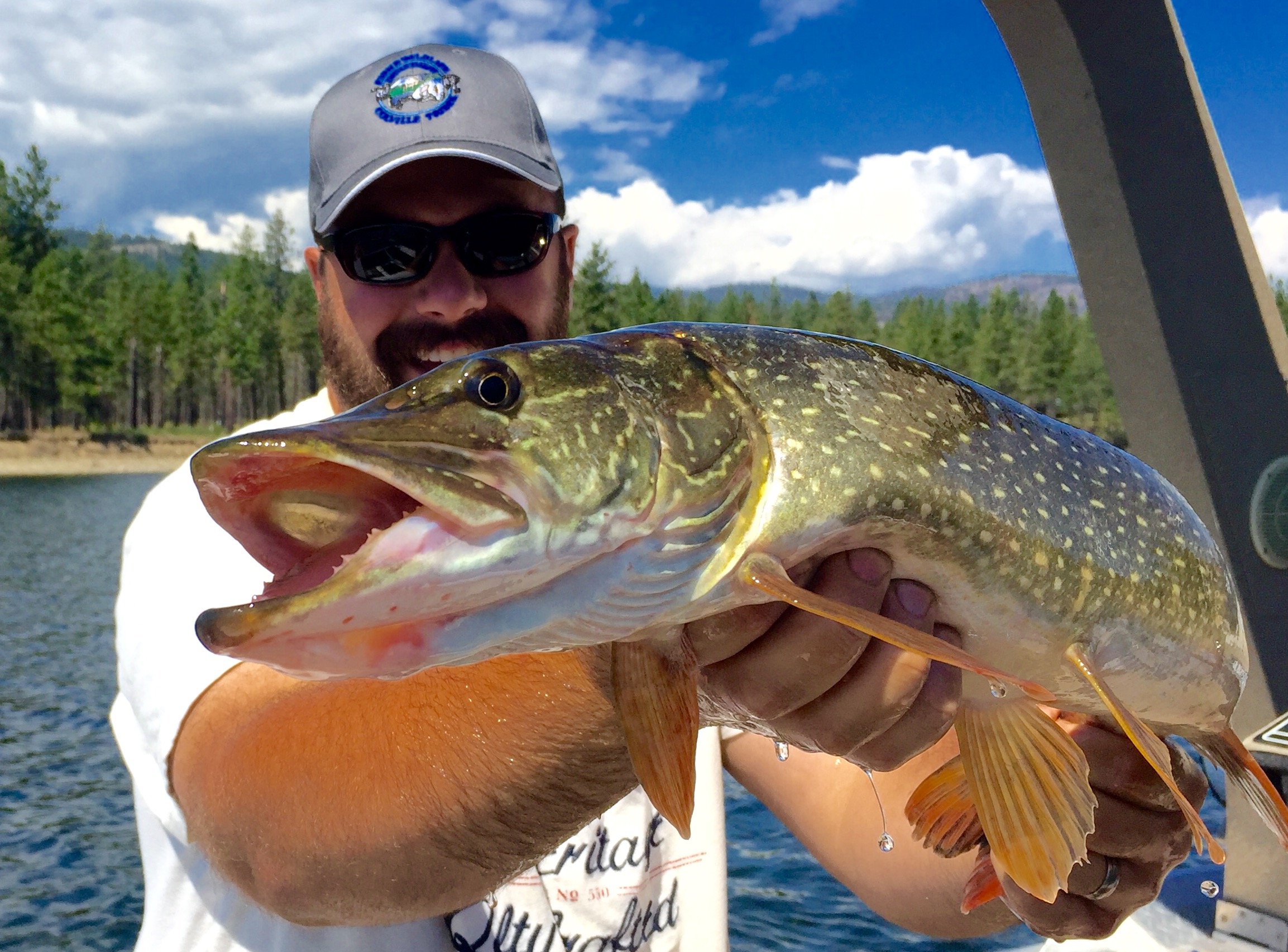 Northern Pike — CCT Fish & Wildlife