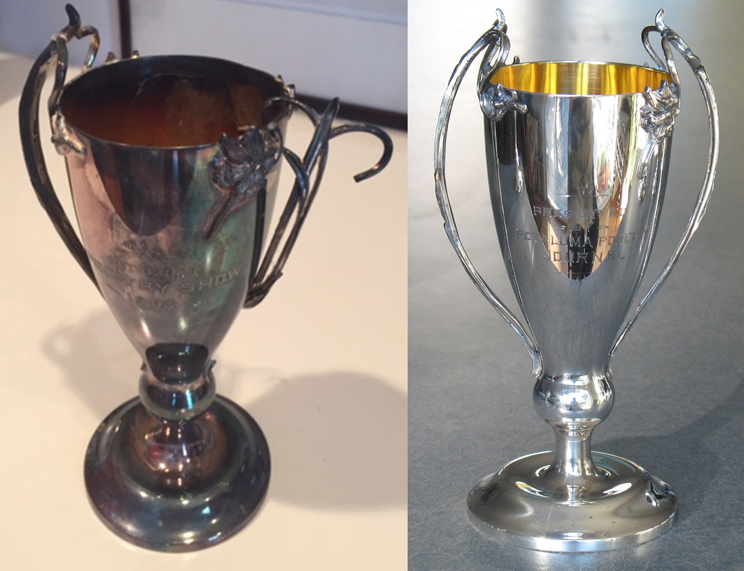 Removing Lacquer From Trophies — Harriete Estel Berman