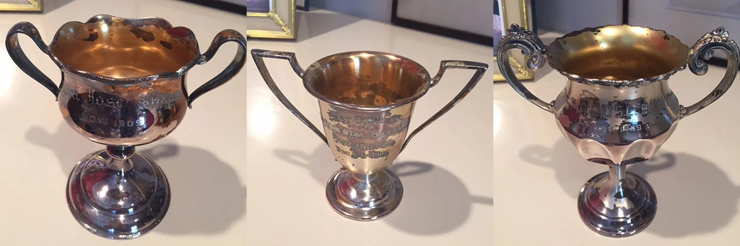 Removing Lacquer From Trophies — Harriete Estel Berman