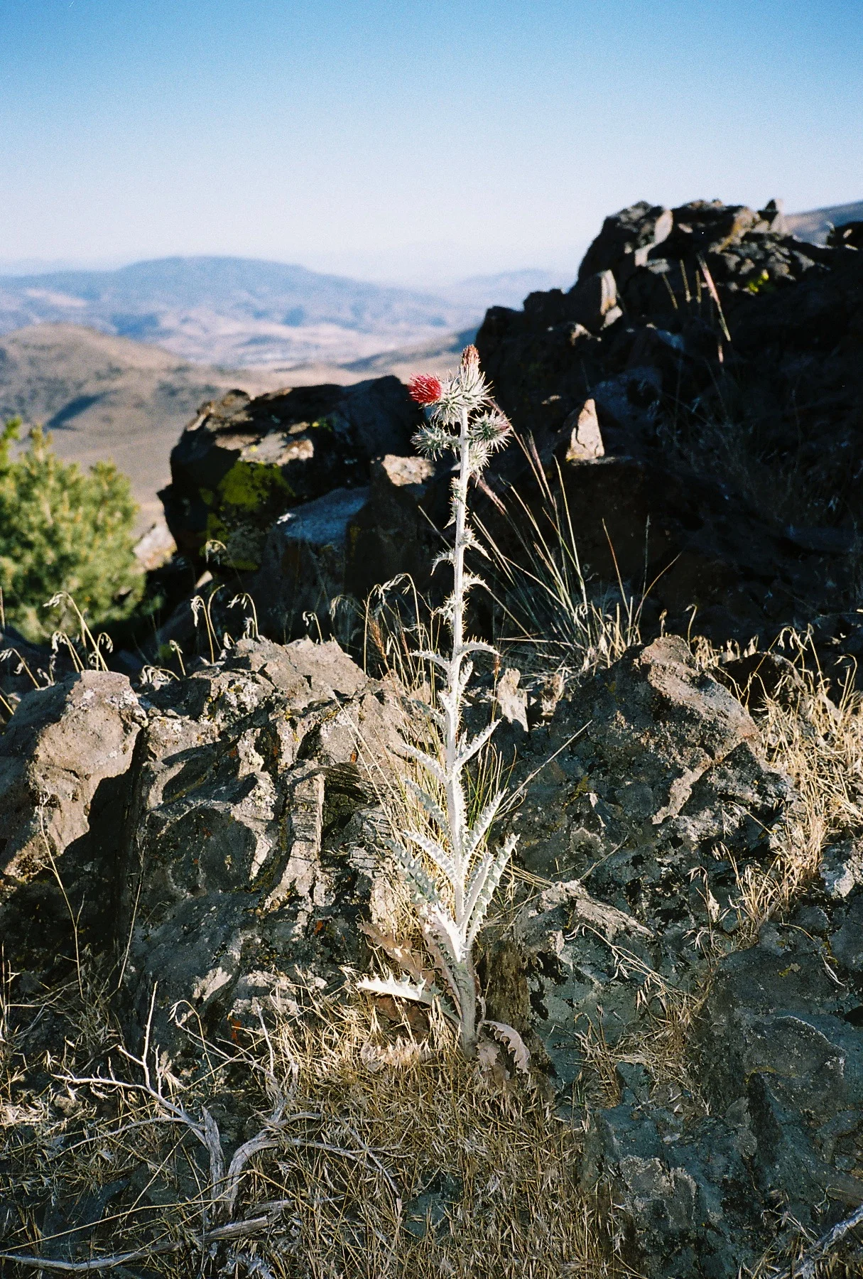 funR1-01313-0018.jpg
