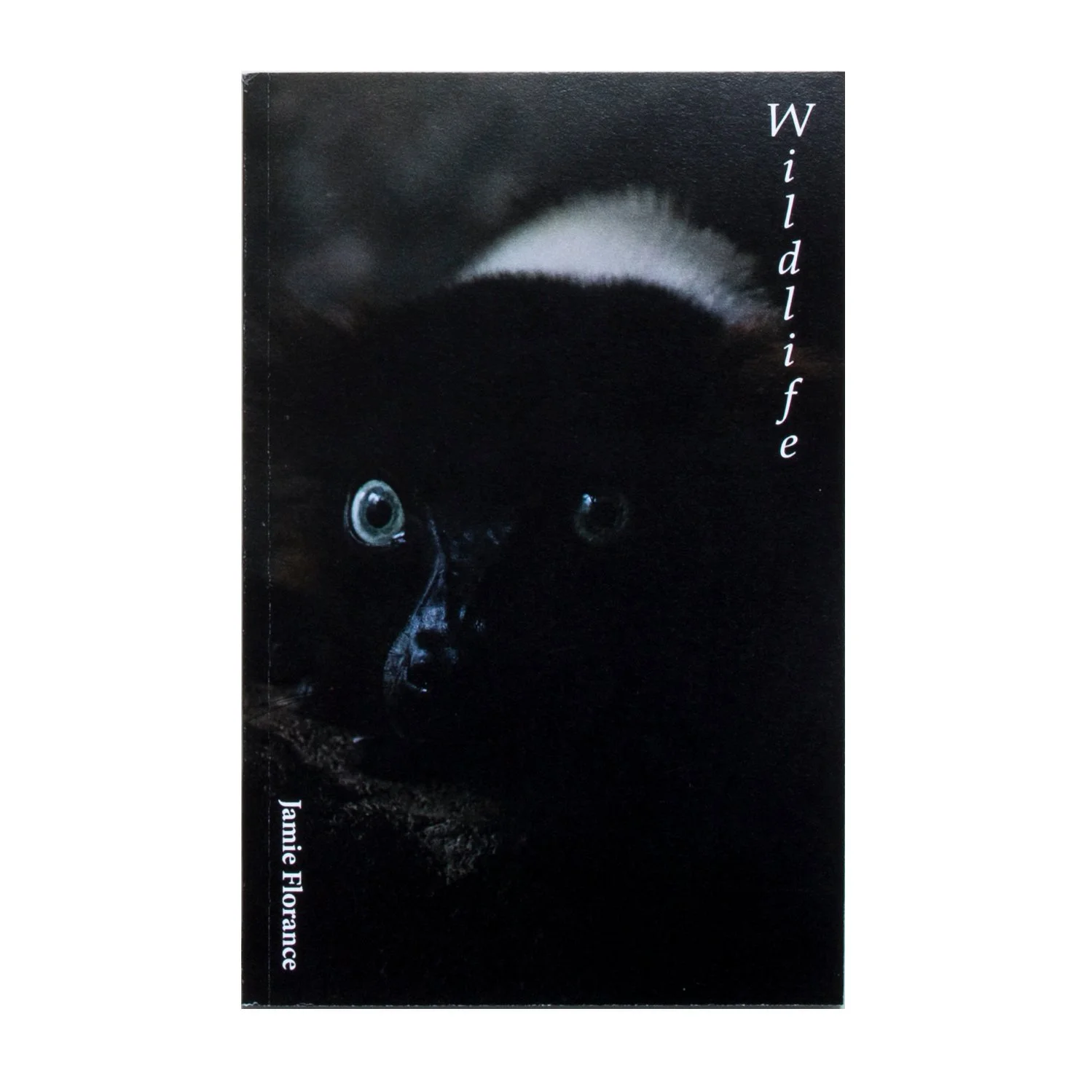 wildlife_shop.jpg