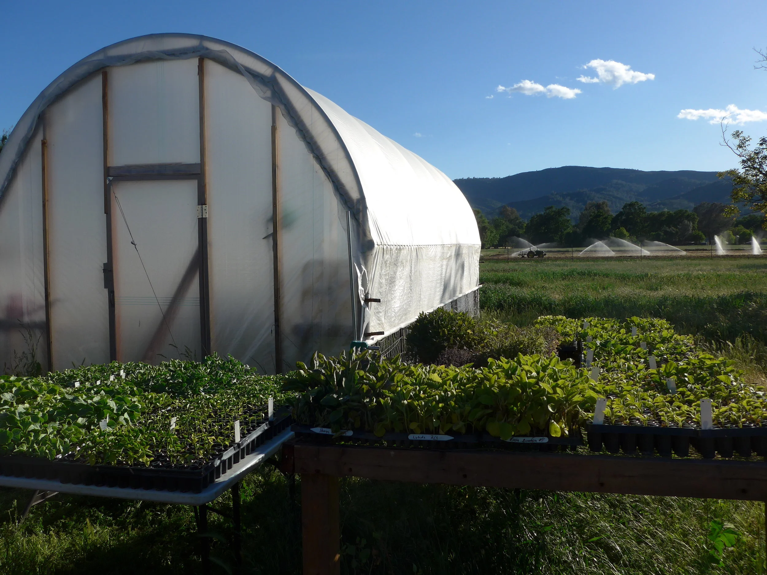 Spring at Sun Tracker Farm