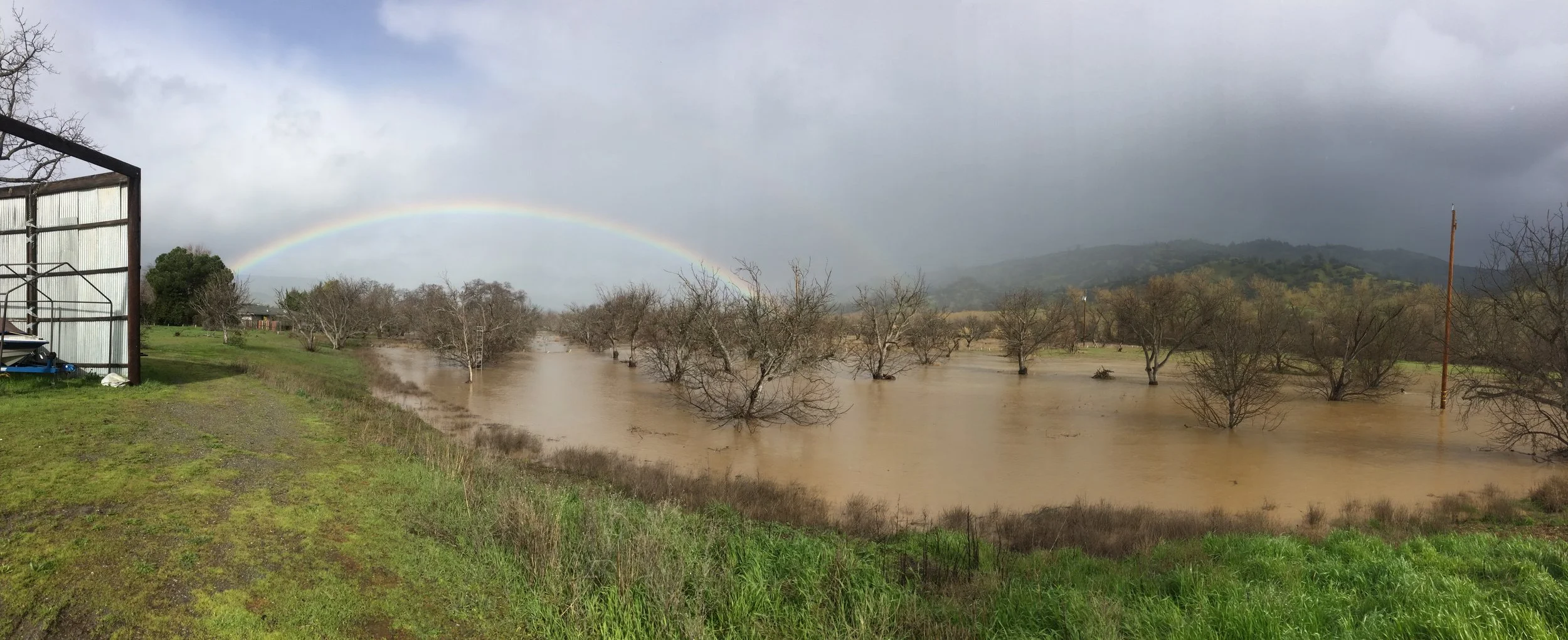 That time our walnut orchard flooded!