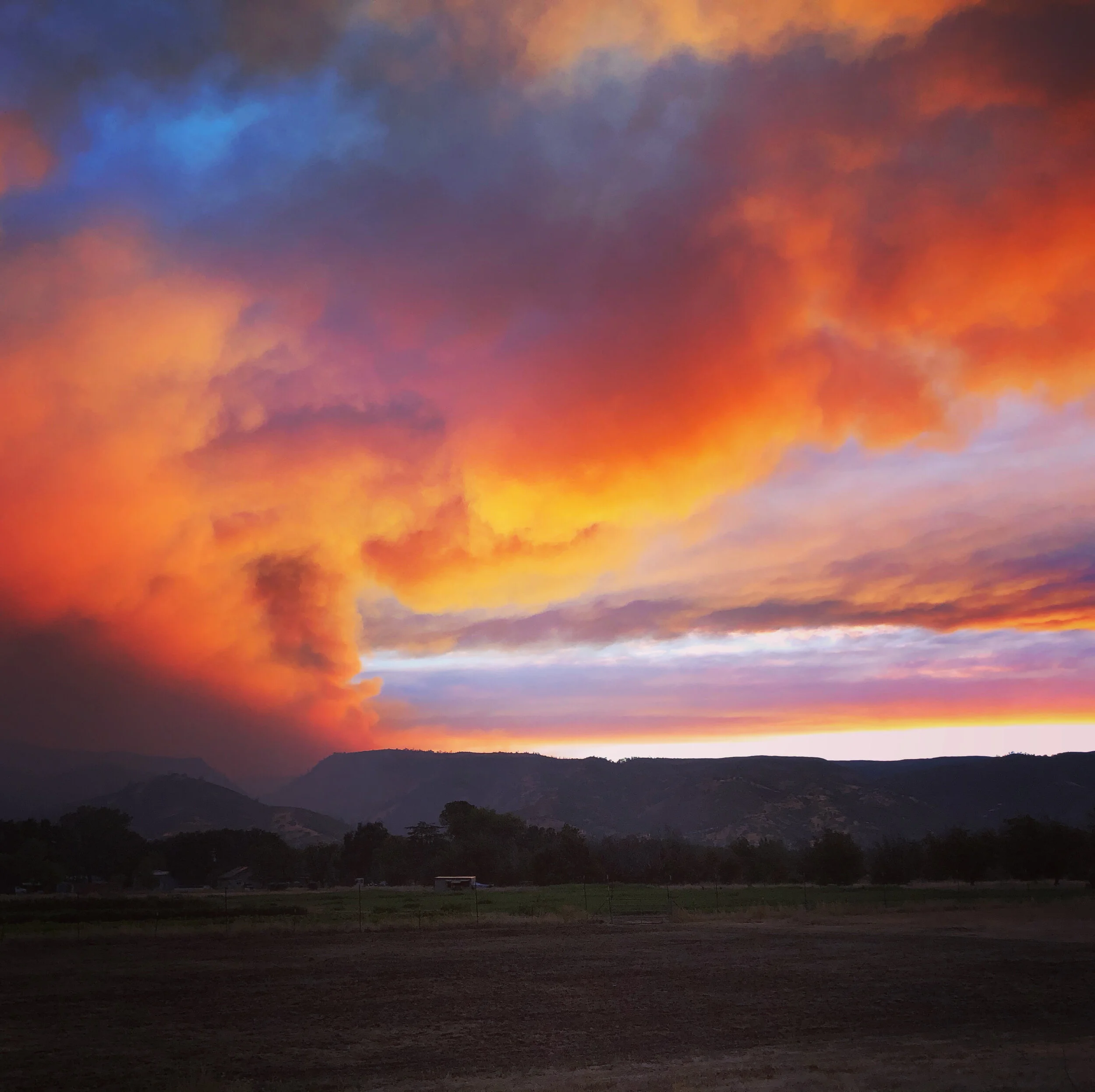 Farmers on the frontlines