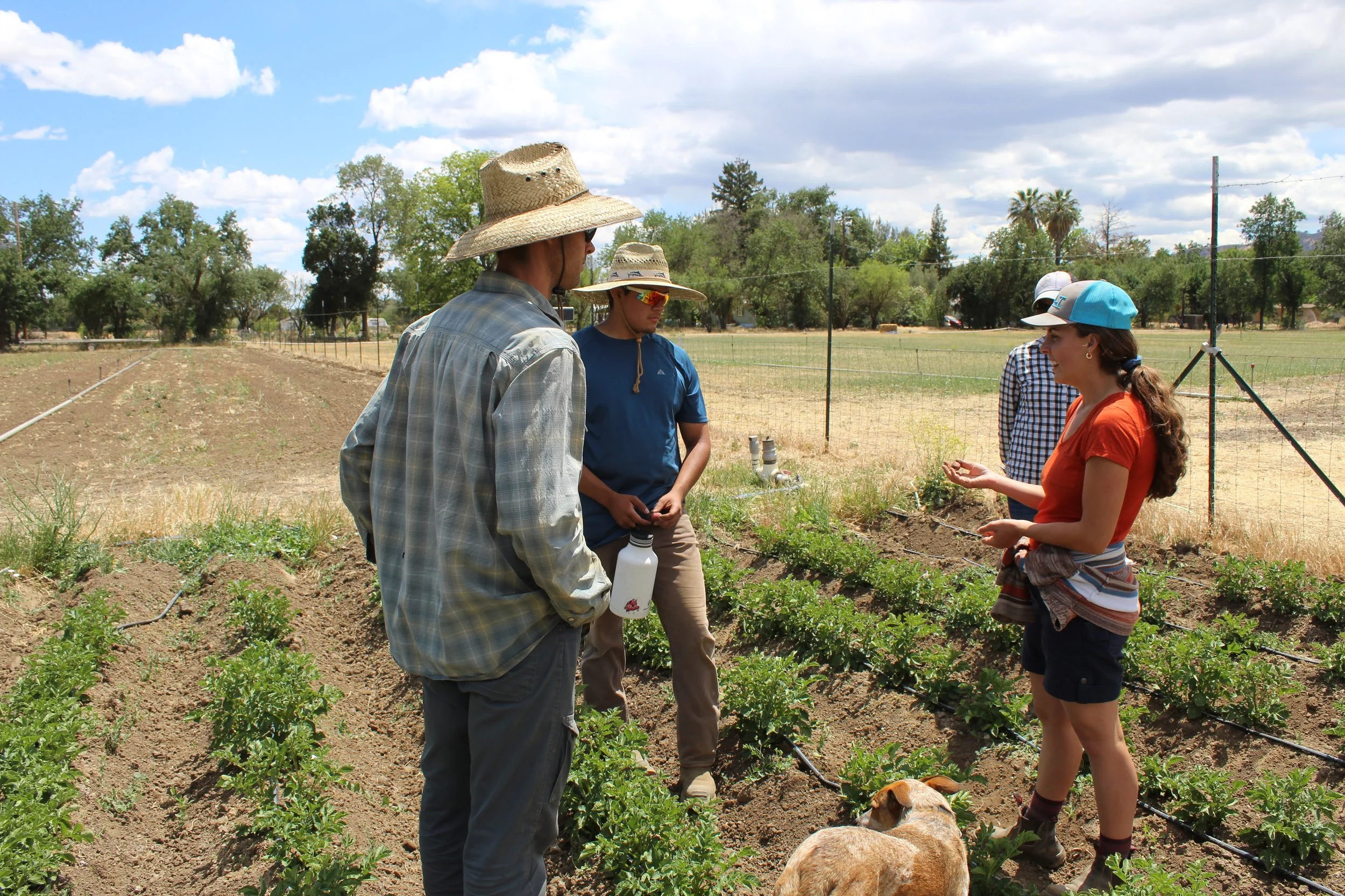 Pages from a Farmer: A little help here and there...