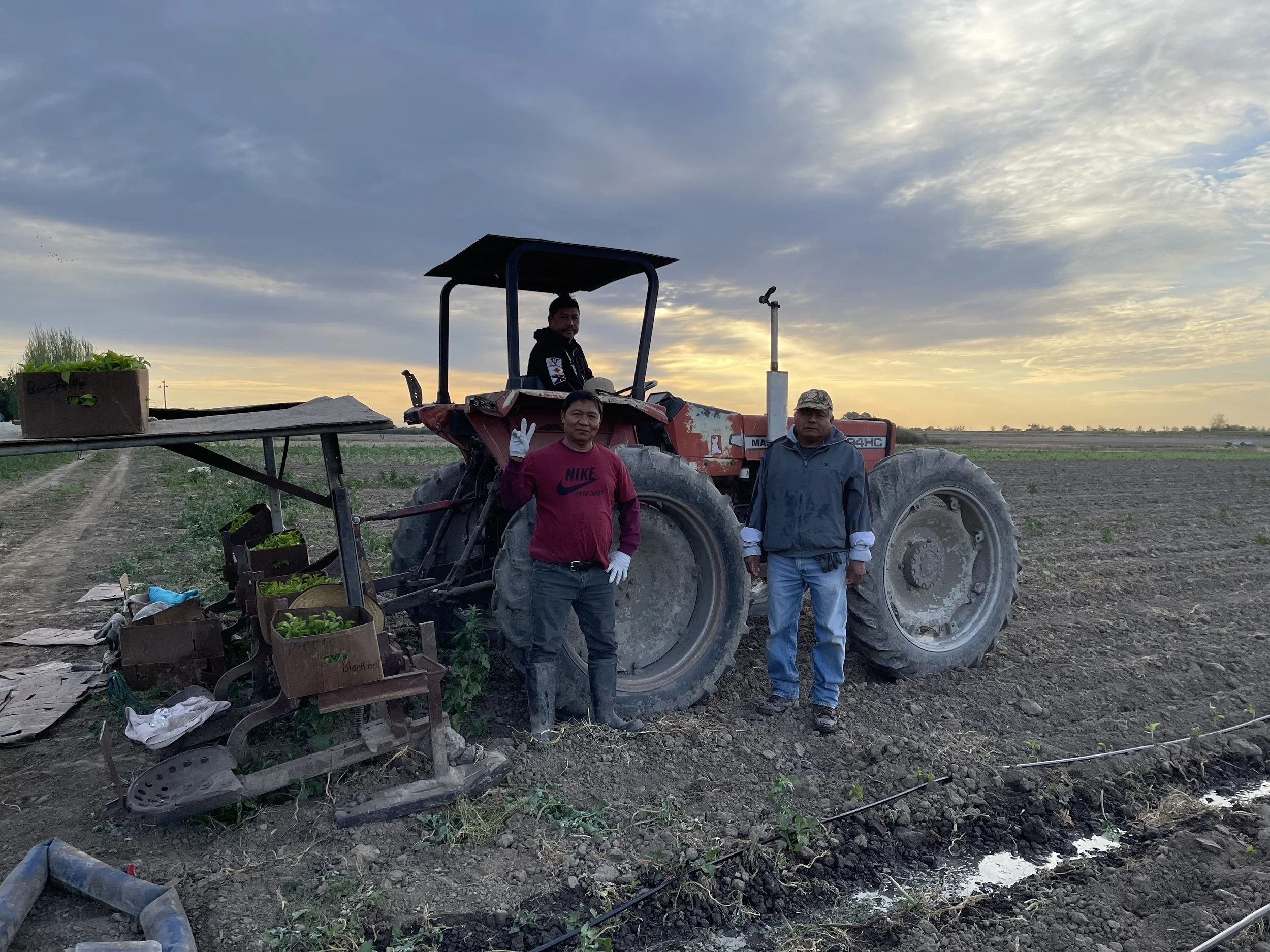 Pages from a Farmer: Meet Henry and Loida of J &amp; M Ibarra Farms