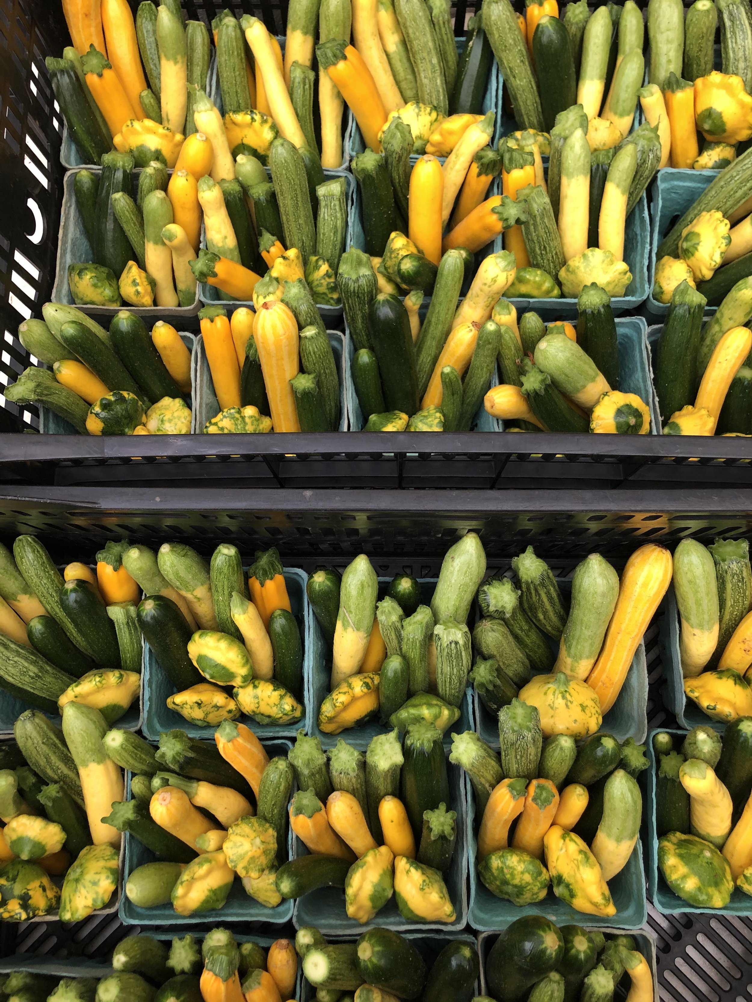 Pages from a Farmer: An Ode to Summer Squash