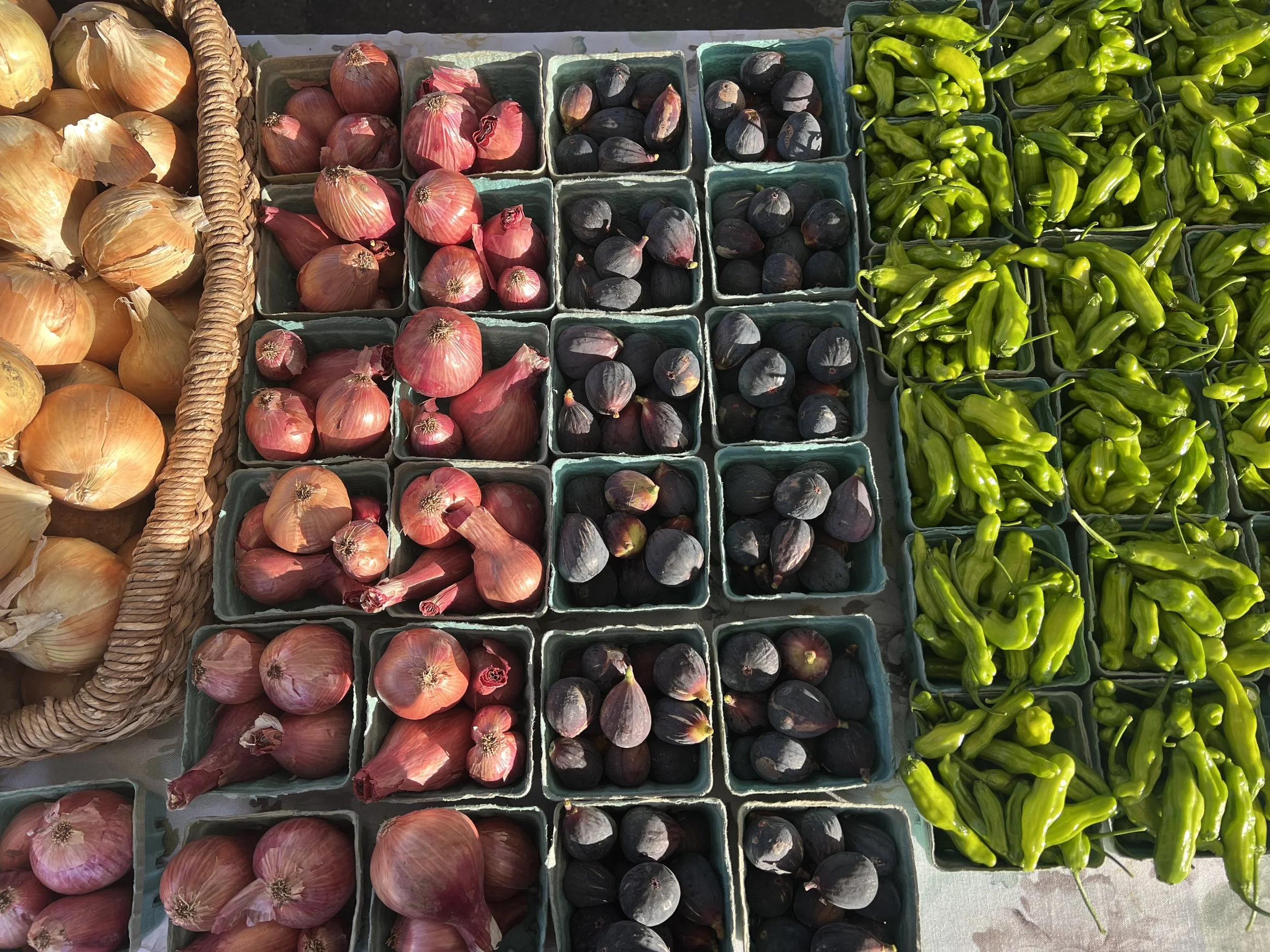 36. Pages from a Farmer: Shoulder Season on the Farm and at the Market