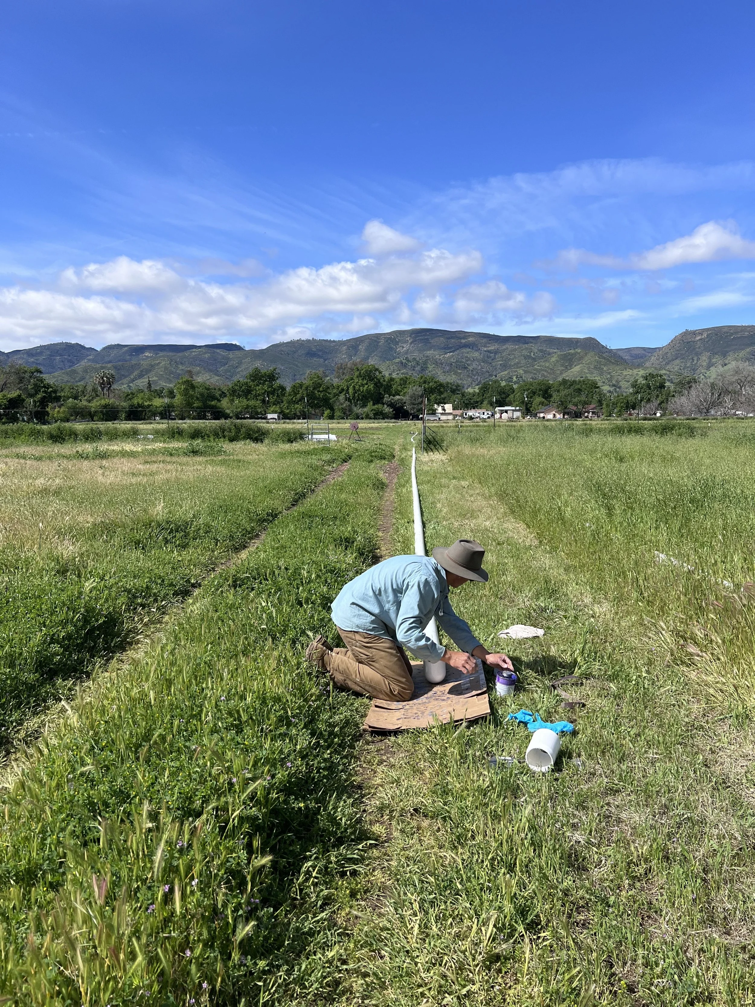 50. Pages from a Farmer: The Trouble with Irrigation