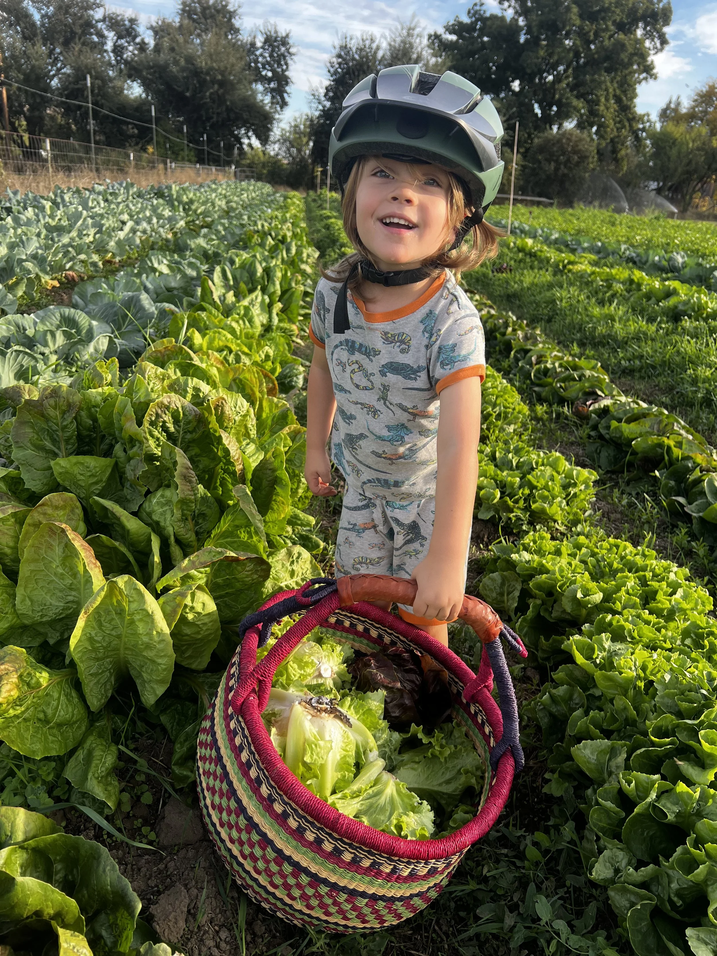 57. Pages from a Farmer: The process of making a meal