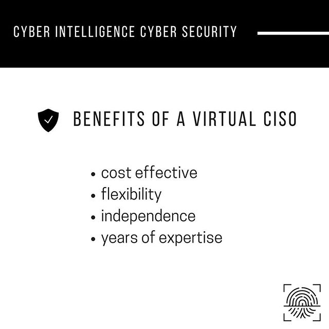 A vCISO (Virtual Chief Information Security Officer) brings years of information security expertise at your organization's convenience. Need annual security planning? Strategy and goals? Other advisory inputs? Let us help you. #cybersecurity #securit