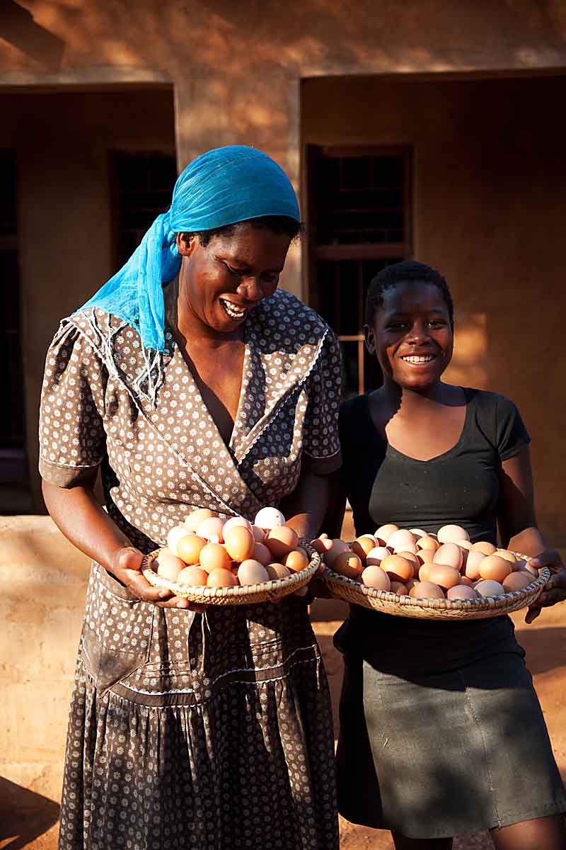  The original idea of having the chickens was to sell the eggs in the market. &nbsp;Most of the time, the kids ate the eggs before they made it to market. 