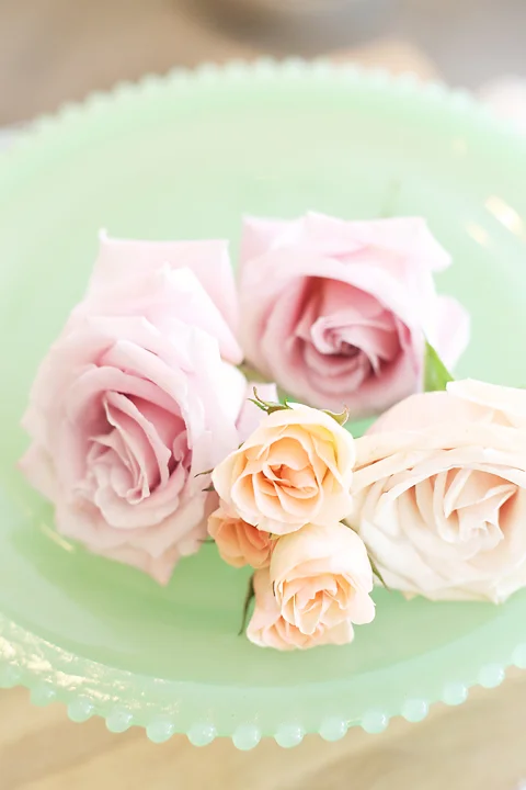 Jill chose these gorgeous roses in the most beautiful hues.