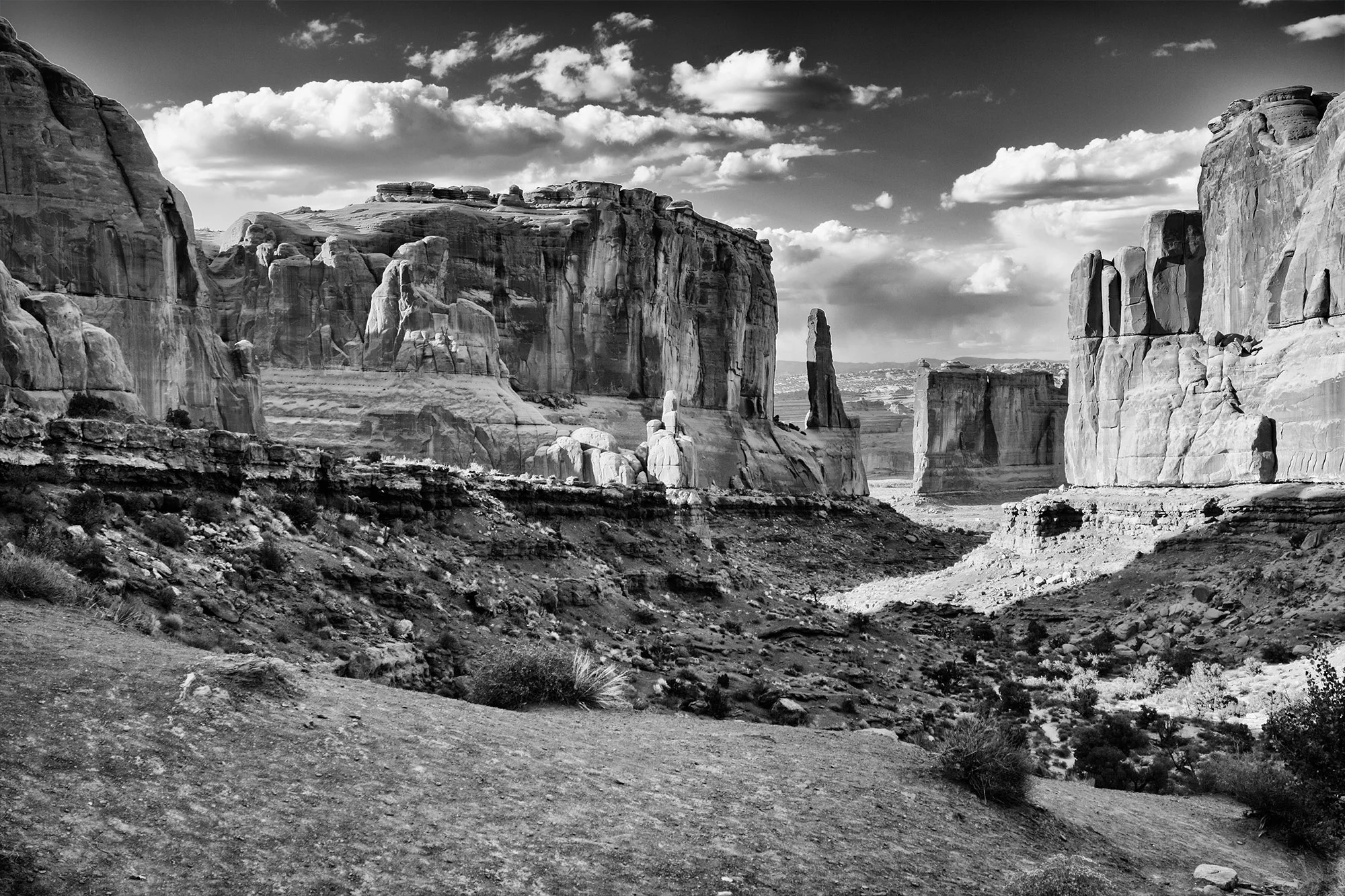 IMG_0356.jpg