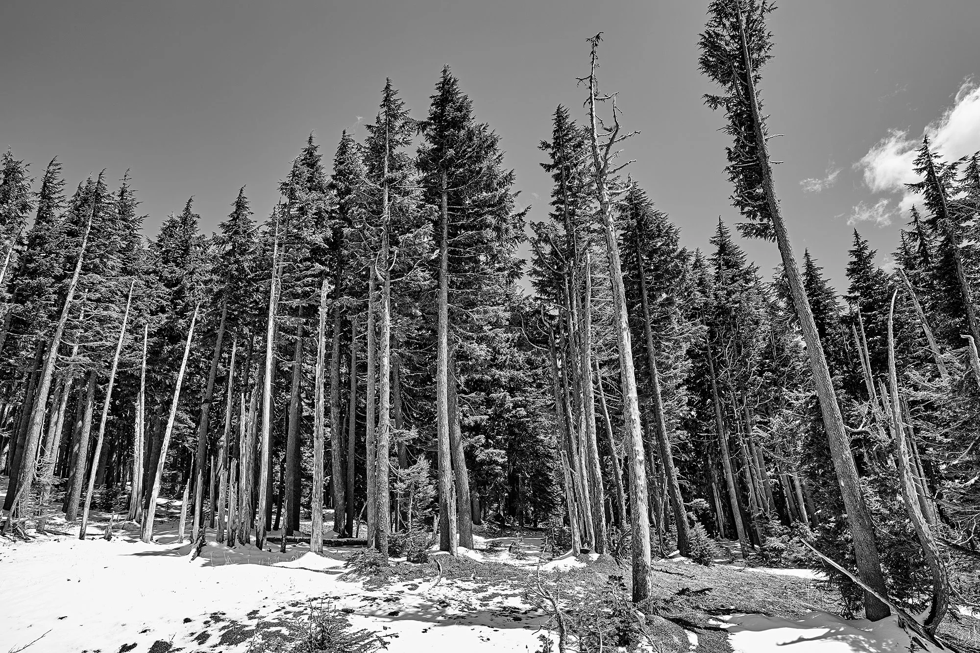 landscape0007.jpg