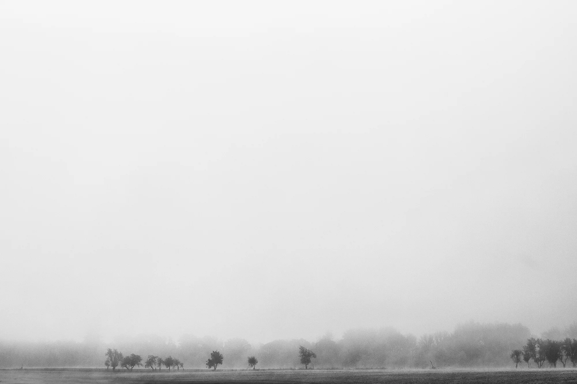 _WF_9782.jpg