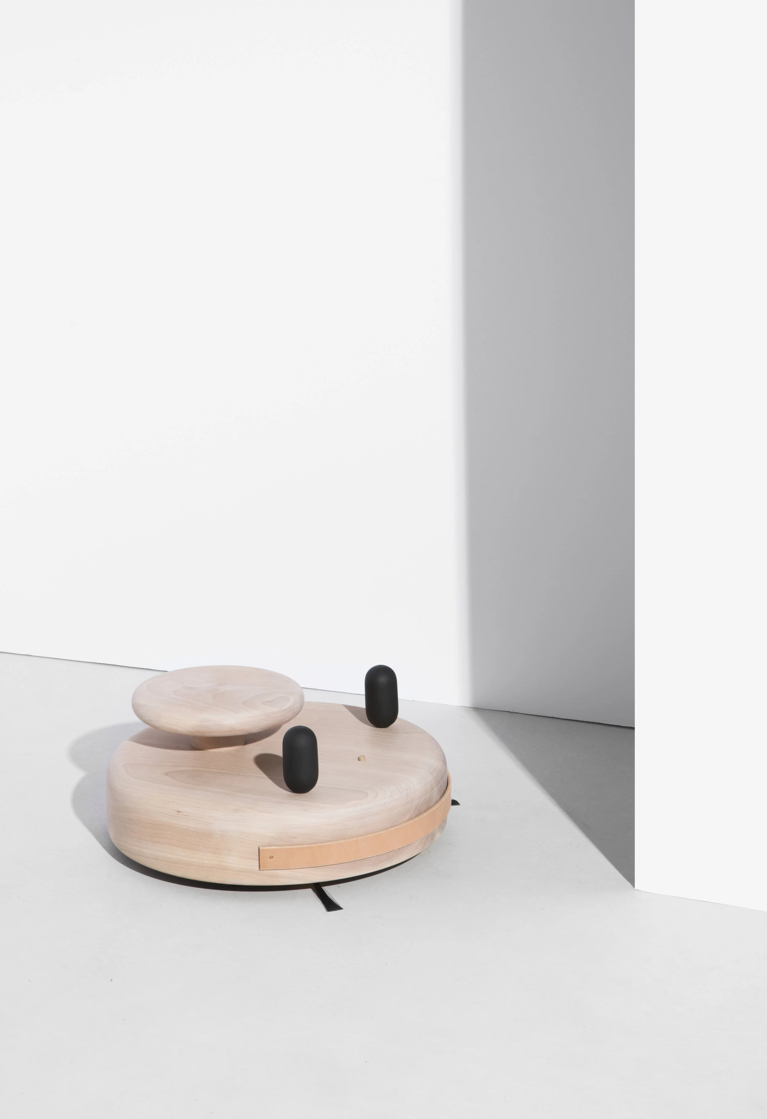 Pat Kim_Roomba cover 5.jpg