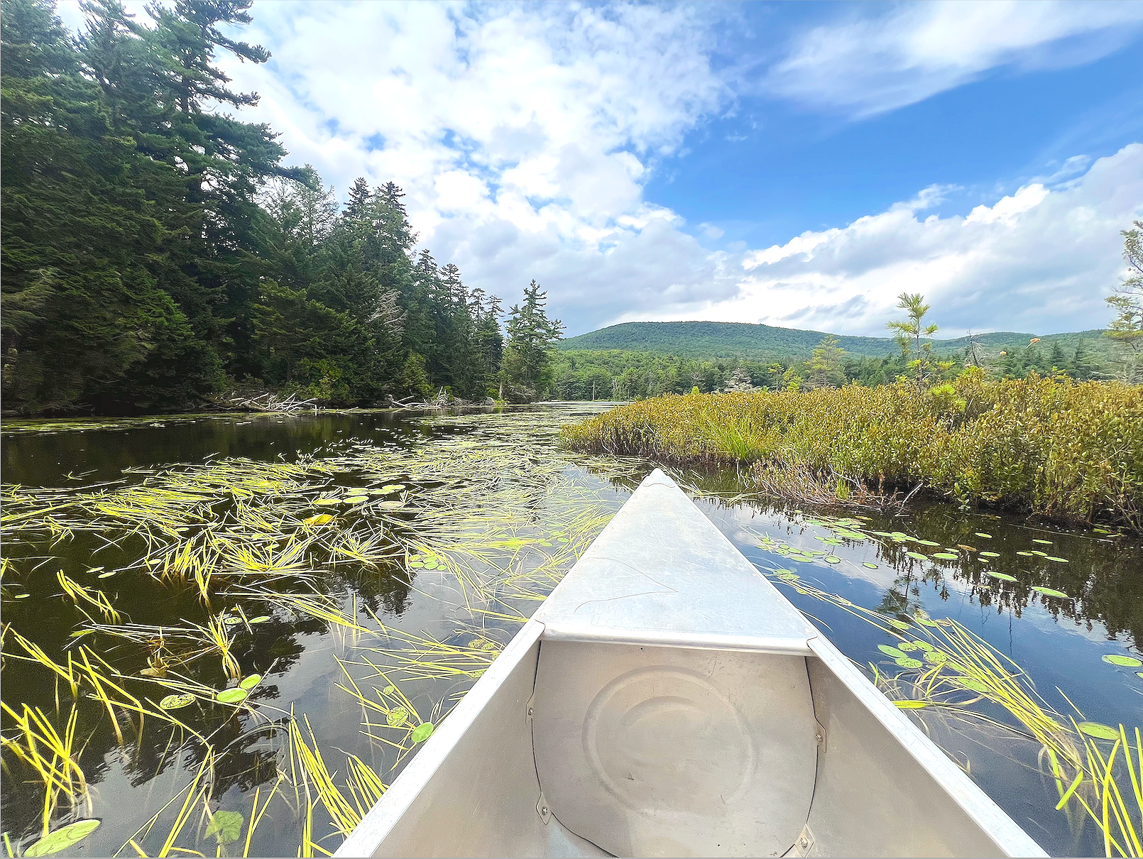 Screenshot 2024-09-09 at 1.21.22 PM.png