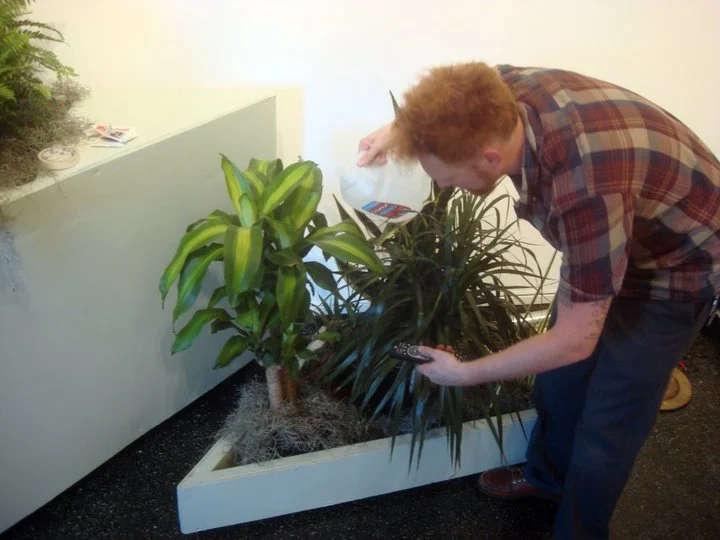 Watering the installation
