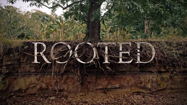 rooted.jpeg