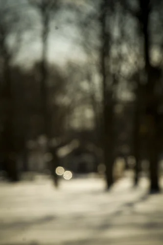 Ypsi Project : Looking Out Of the Barrel of the Prospect Cannon (via ericarhiannon )
This is the cannon that sits in Prospect Park on Prospect in Ypsi. Mark Maynard wrote a post about the Ypsi Project on his blog and lots of people made great suggestions as to what they would like to see photographed. This was one of them. I poked around a little bit to see if I could find out why the cannon is there. I’m just going to quote a paragraph that I found in an online book, Traveling Through Time . “In 1842 this site became Ypsilanti’s second cemetary, and at one time approximately 250 people were buried there. However, when Highland Cemetary opened in 1864, the use of this site began to decline. Inspired by a nationwide parks movement, in 1891 a group of women began working to convert the by-then-neglected cemetery into the cities first park. Funds were raised, the remaining bodies moved, the grounds were graded, tress were planted and walks were installed. Luna Lake, with it’s rustic fountain, was built. Completed in 1893, Prospect Park became known for it’s floral carpet beds and it’s bandstand and dance pavilion. In 1902 a coastal defense cannon was purchased from Fort McCleary, Maine, and erected here. The park became an object of renewed community pride after a 1982-84 rejuvenation project. ”