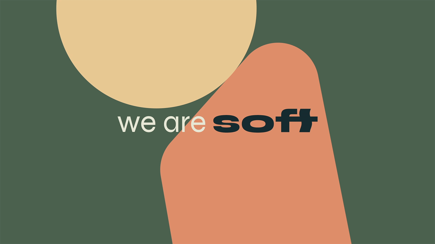 SoftTeaser2.gif