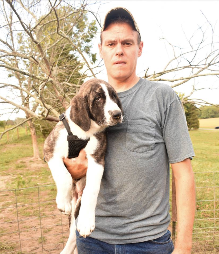 Seth | The Swineherd