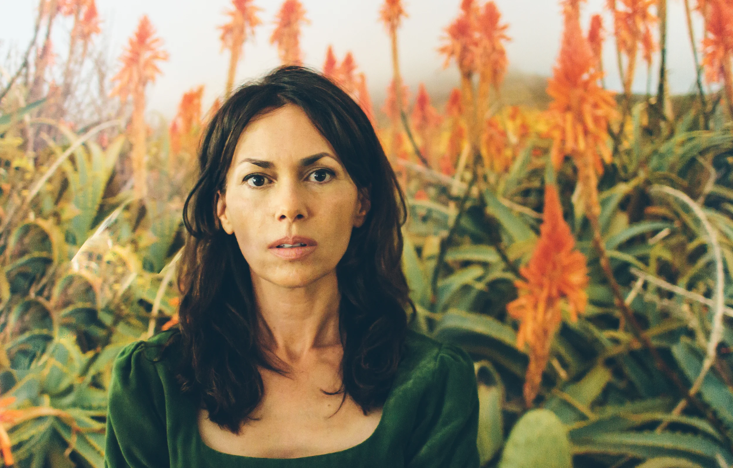 Susannah Hoffs(The Bangles)