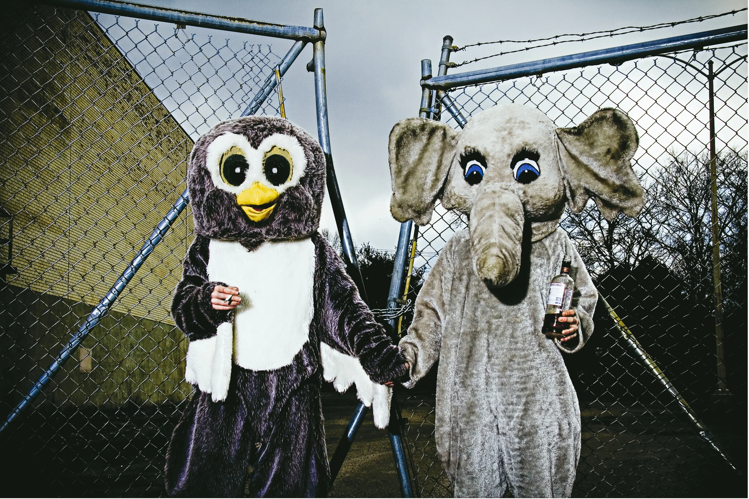 animals-.jpg