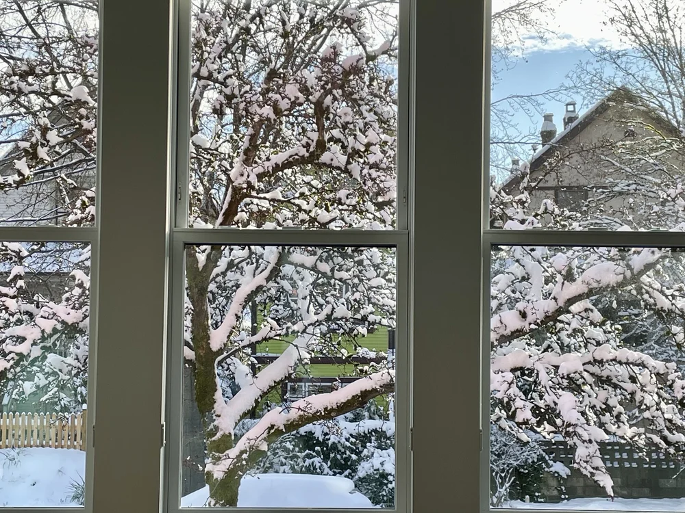 fullsizeoutput_565a (1).jpeg