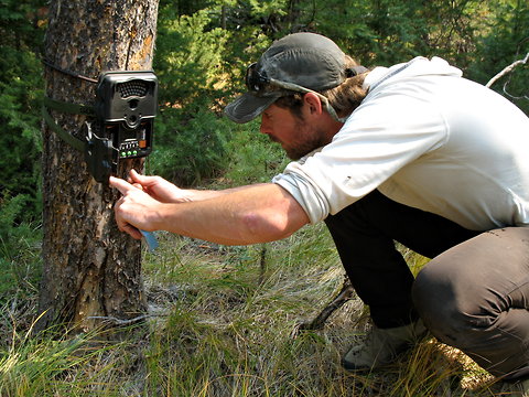 Patrick Graham, a field technician with Defenders of Wildlife, set up a camera trap
