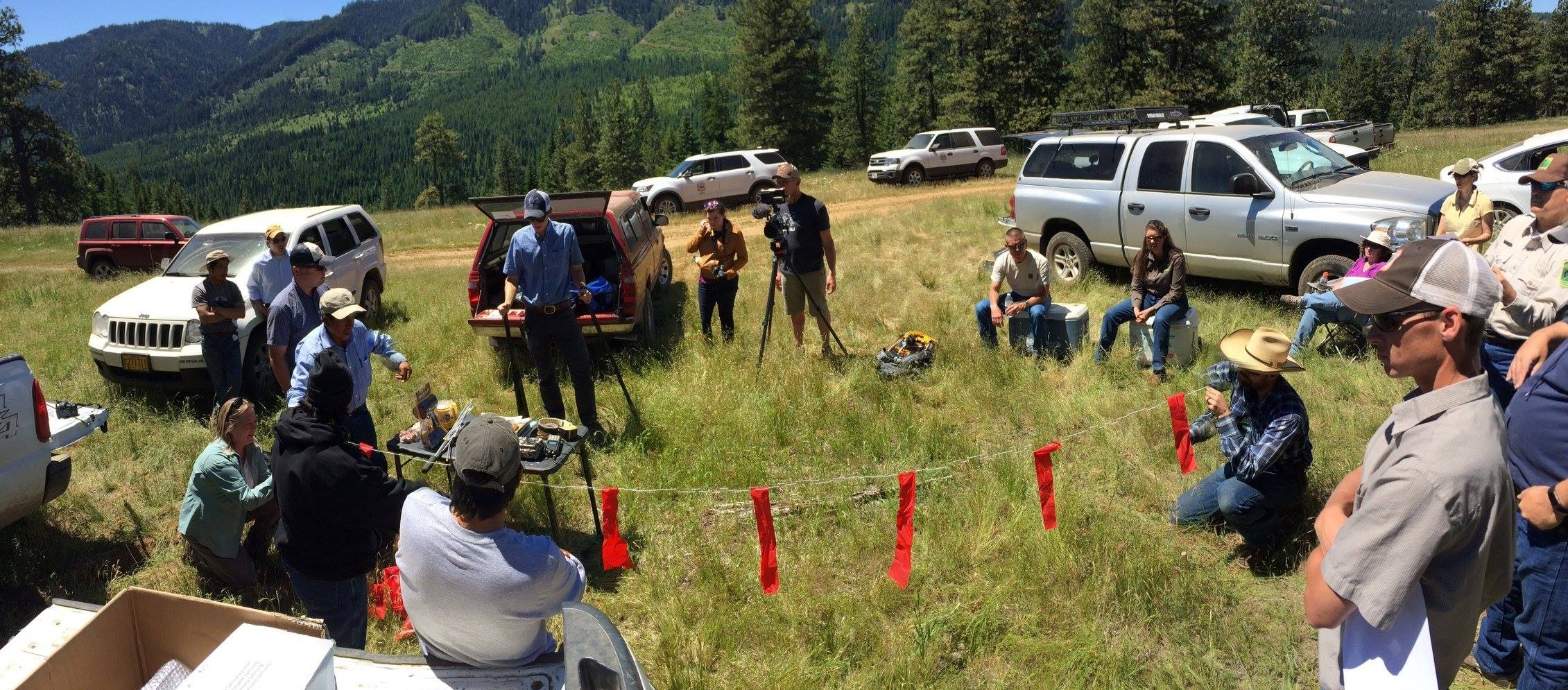 Suzanne Stone (Defenders of Wildlife) and Claudio demonstrate how to set up fladry . Credit: U.S. Forest Service - Umatilla National Forest