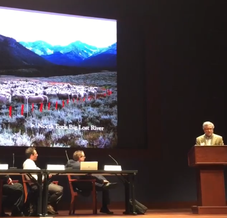 A screenshot from the video of the congressional hearing