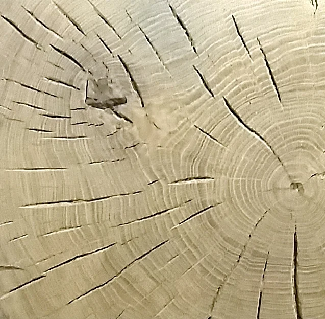 2016-09-21 10.27.27.jpg