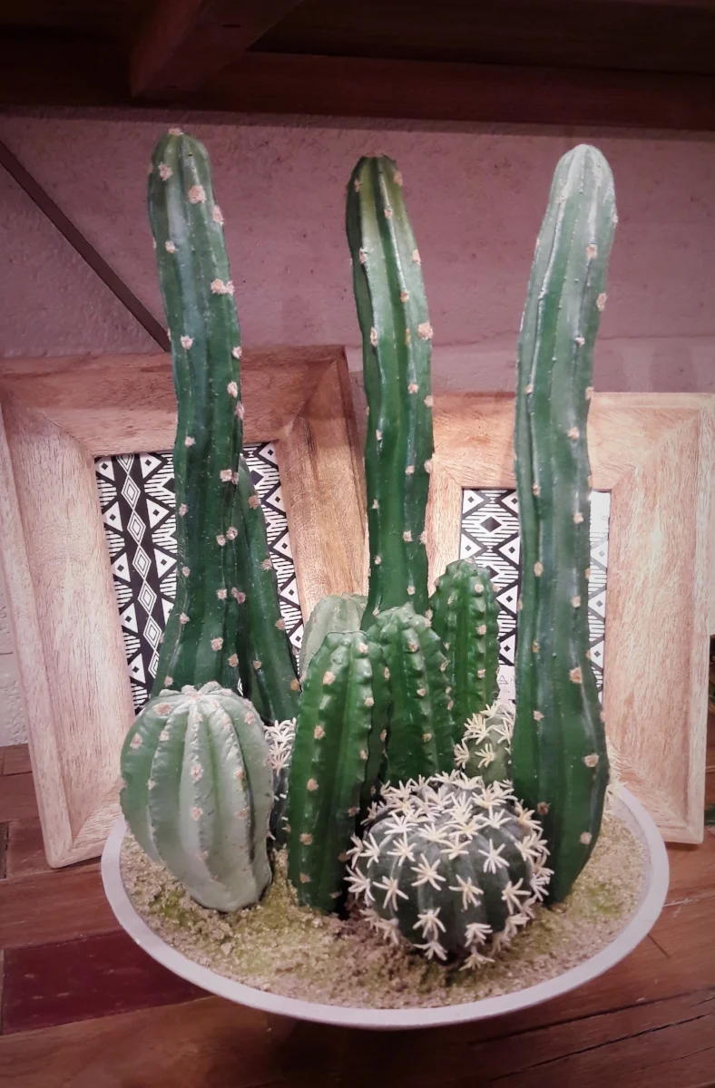 2018-02-22 10.56.09.jpg