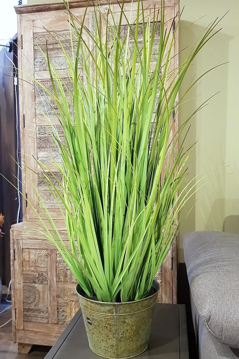 20190906_144252.jpg