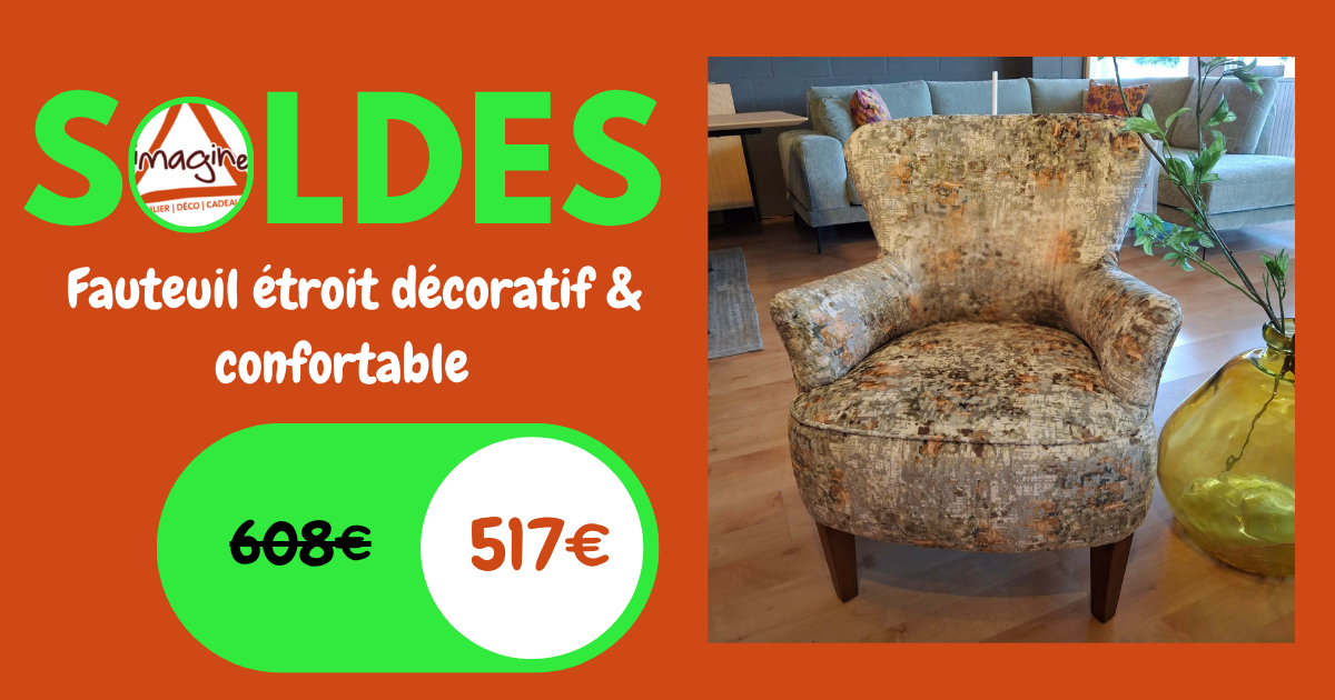 Fauteuil étroit décoratif & confortable.png