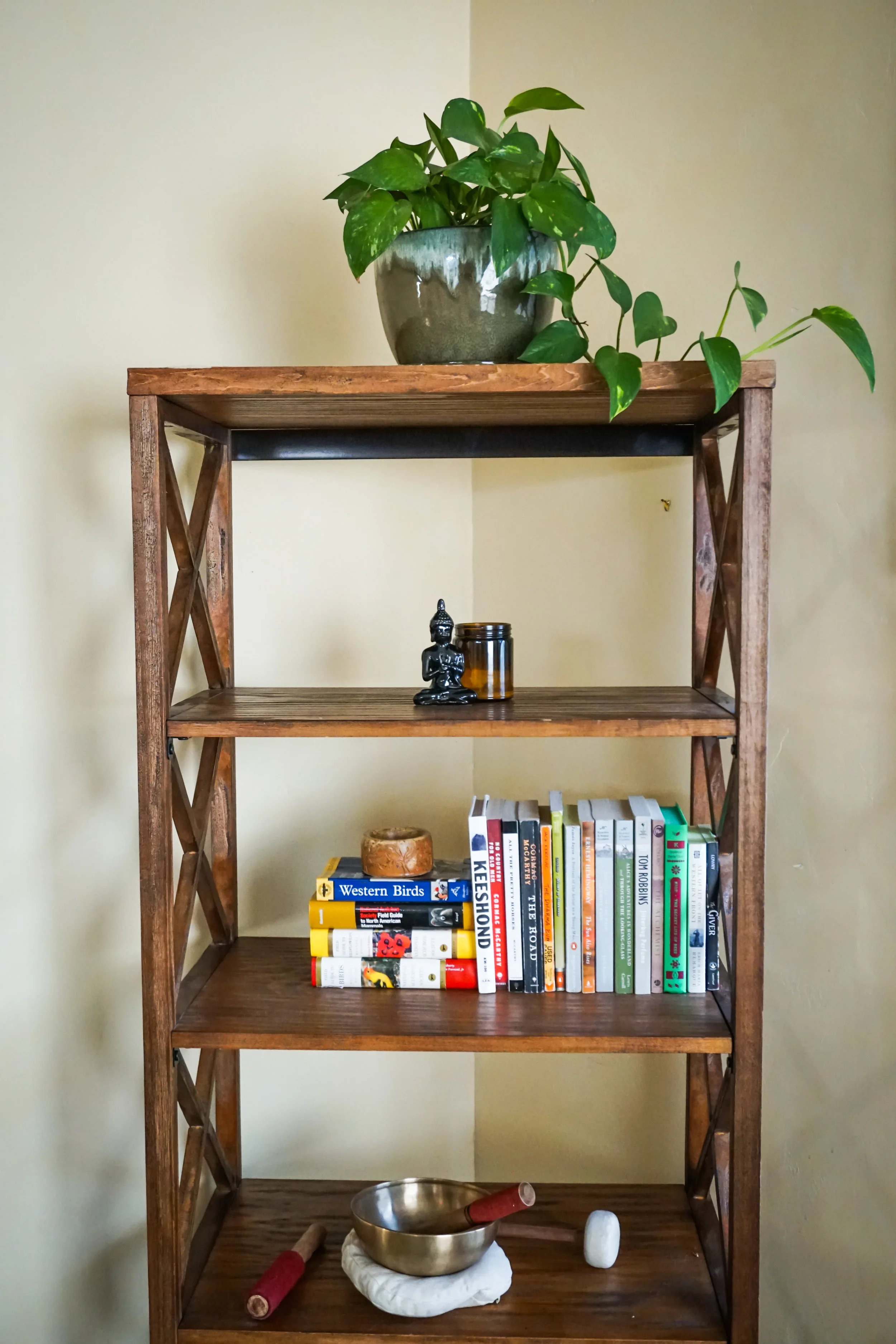 This bookshelf was packed side to side on all five shelves.