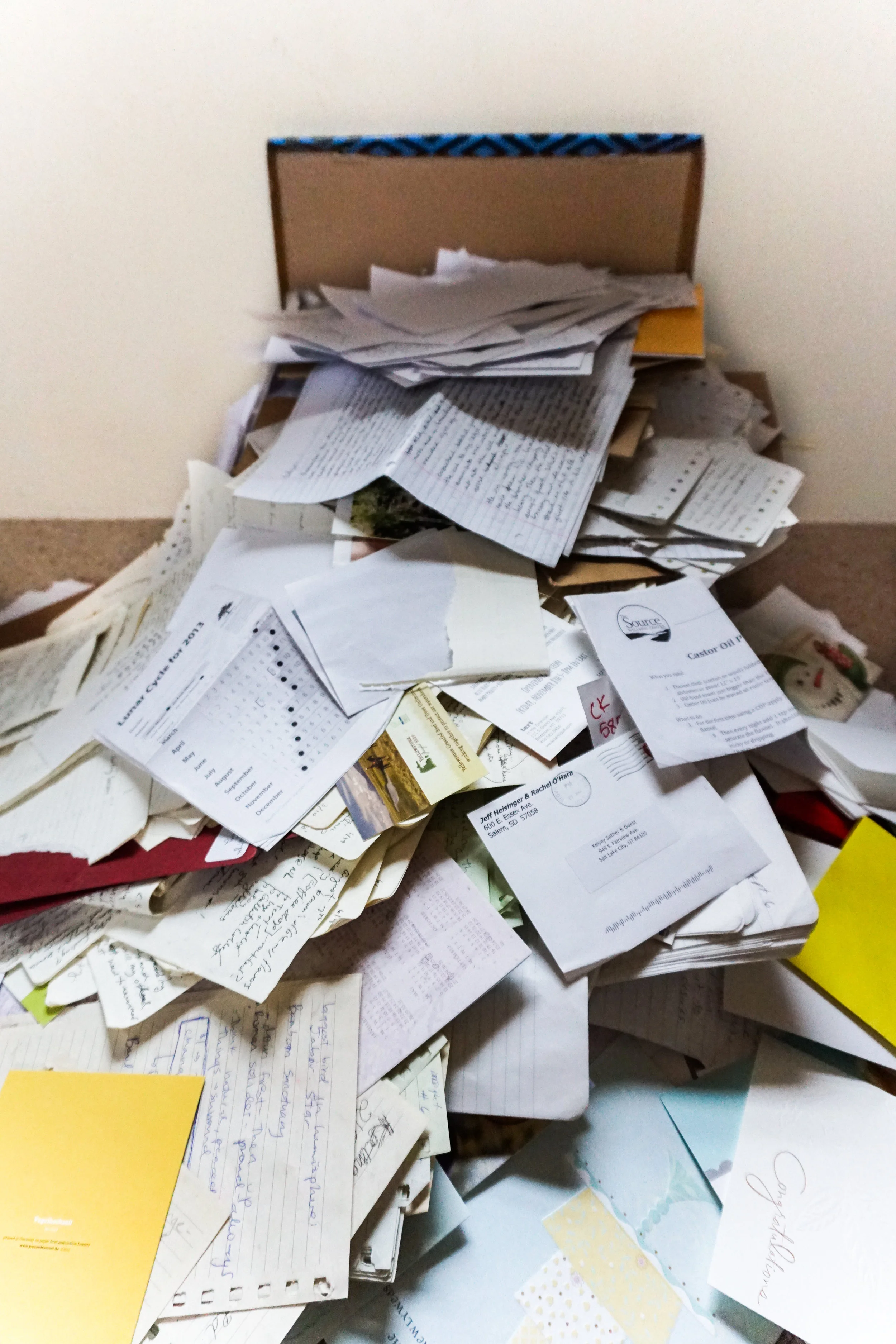 Oodles and oodles of doodles and diary pages