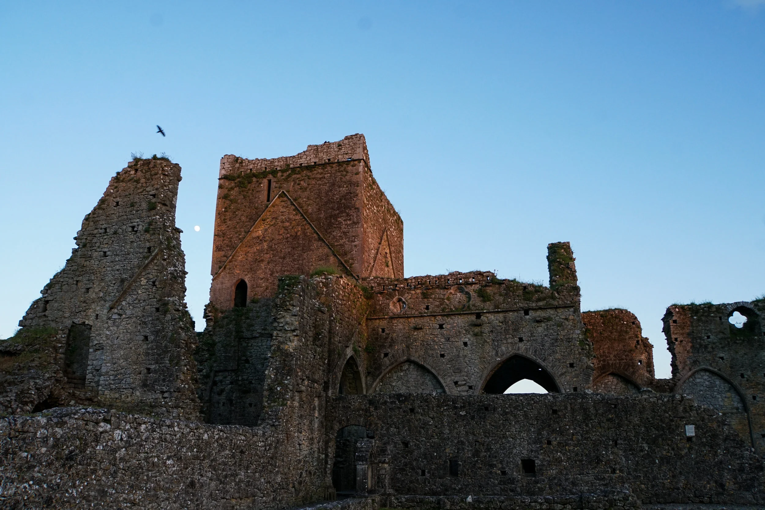 Hore Abbey sunset moon and raven.jpg