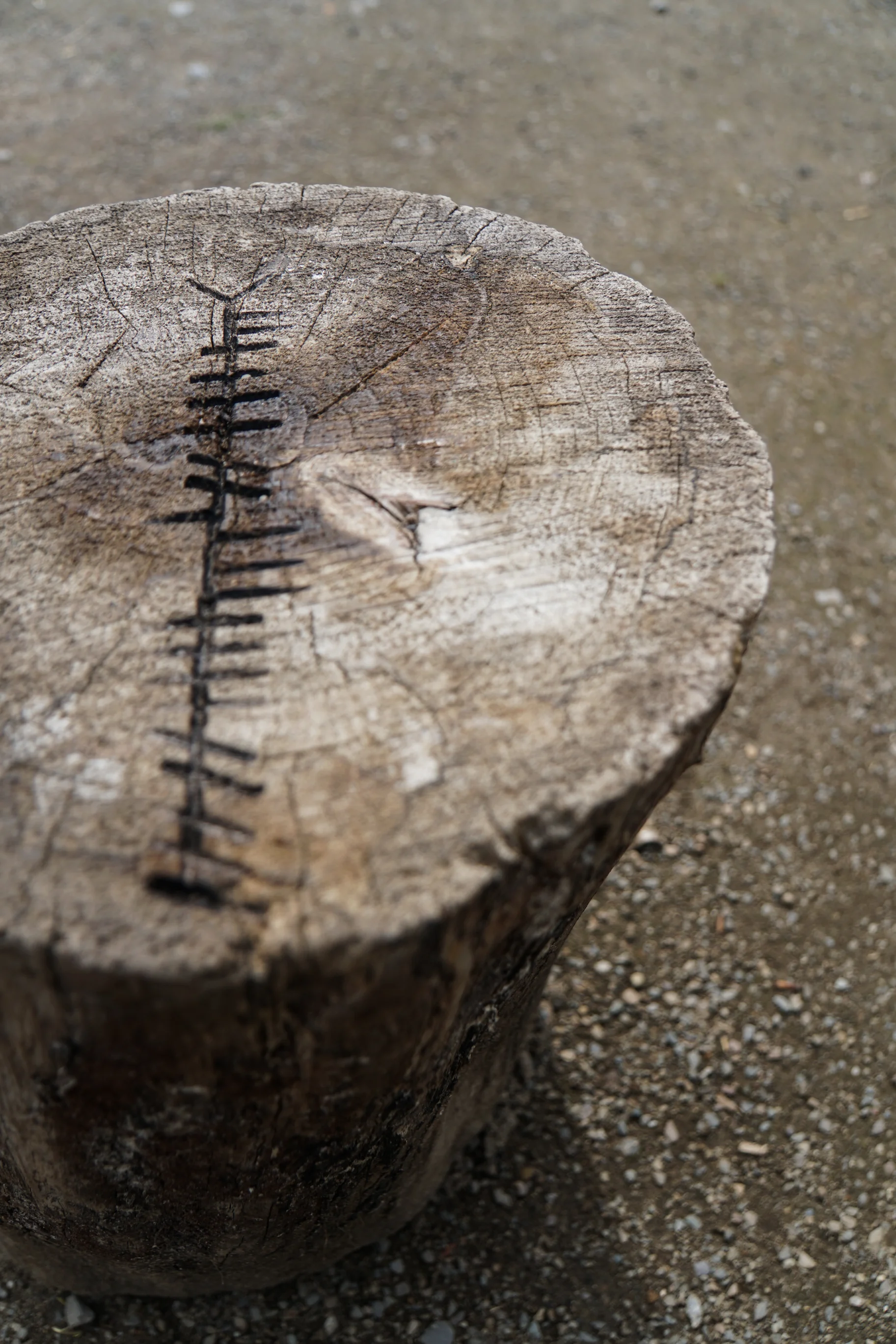 The Ogham language