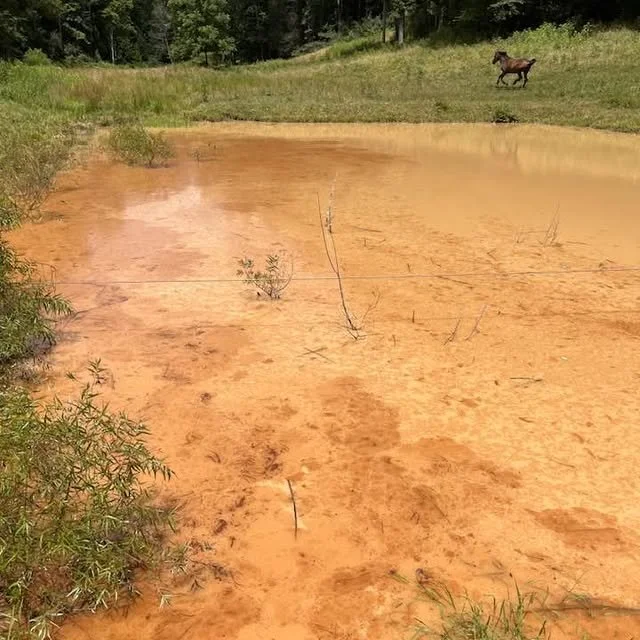 Water Warriors