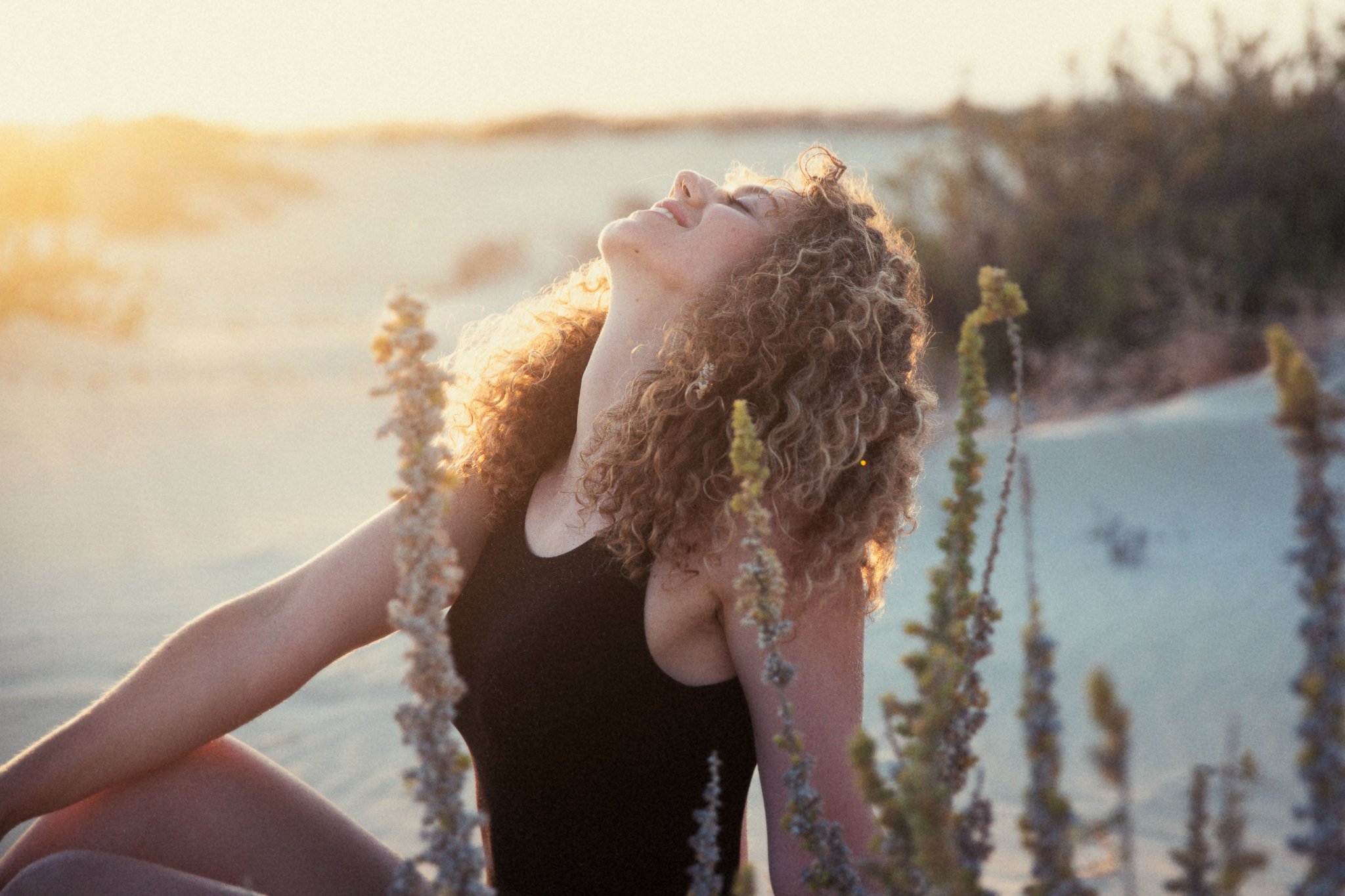 Foceni Fuerteventura (2).jpg