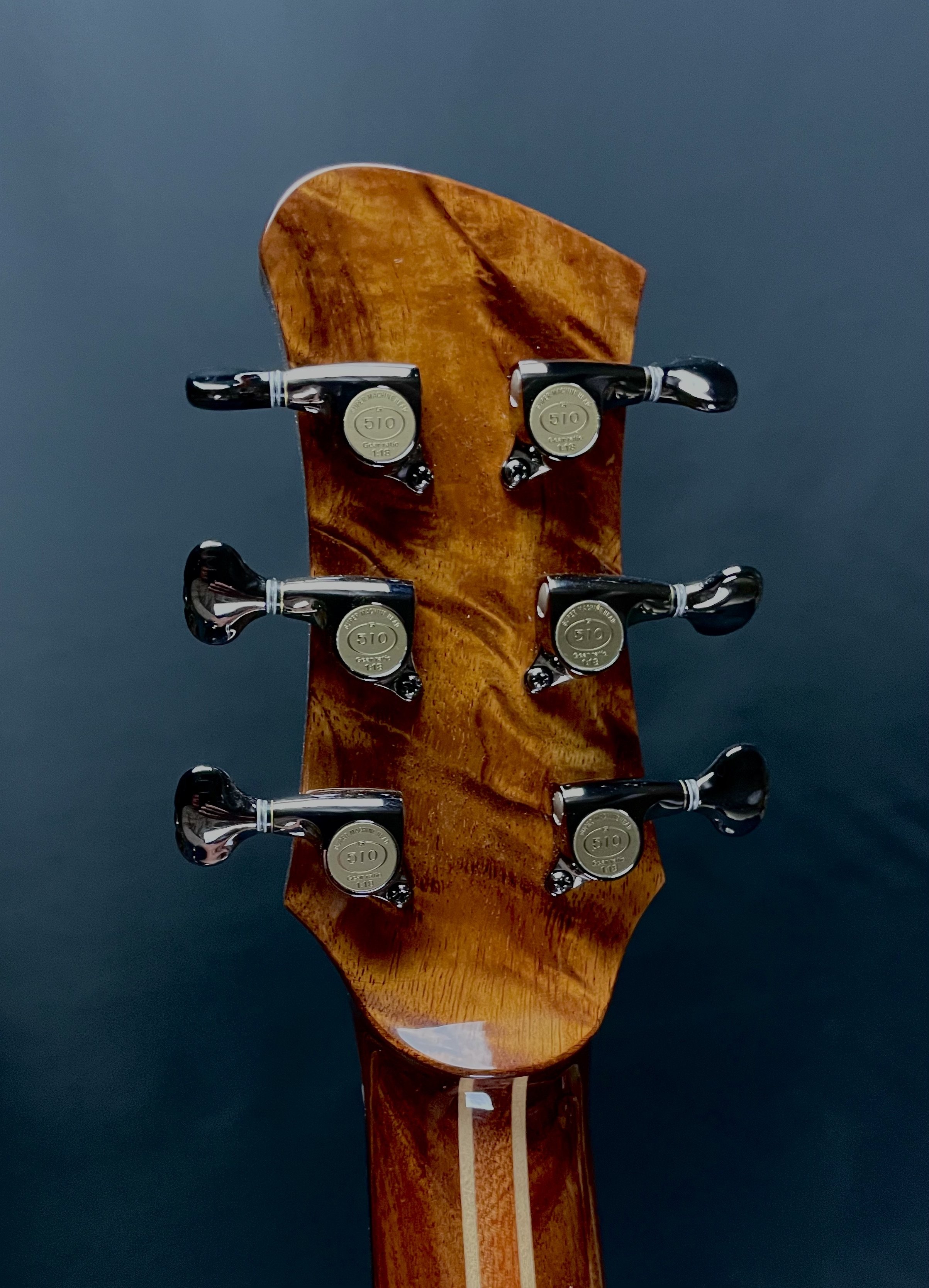 IrvSP-koa headstock back.jpg