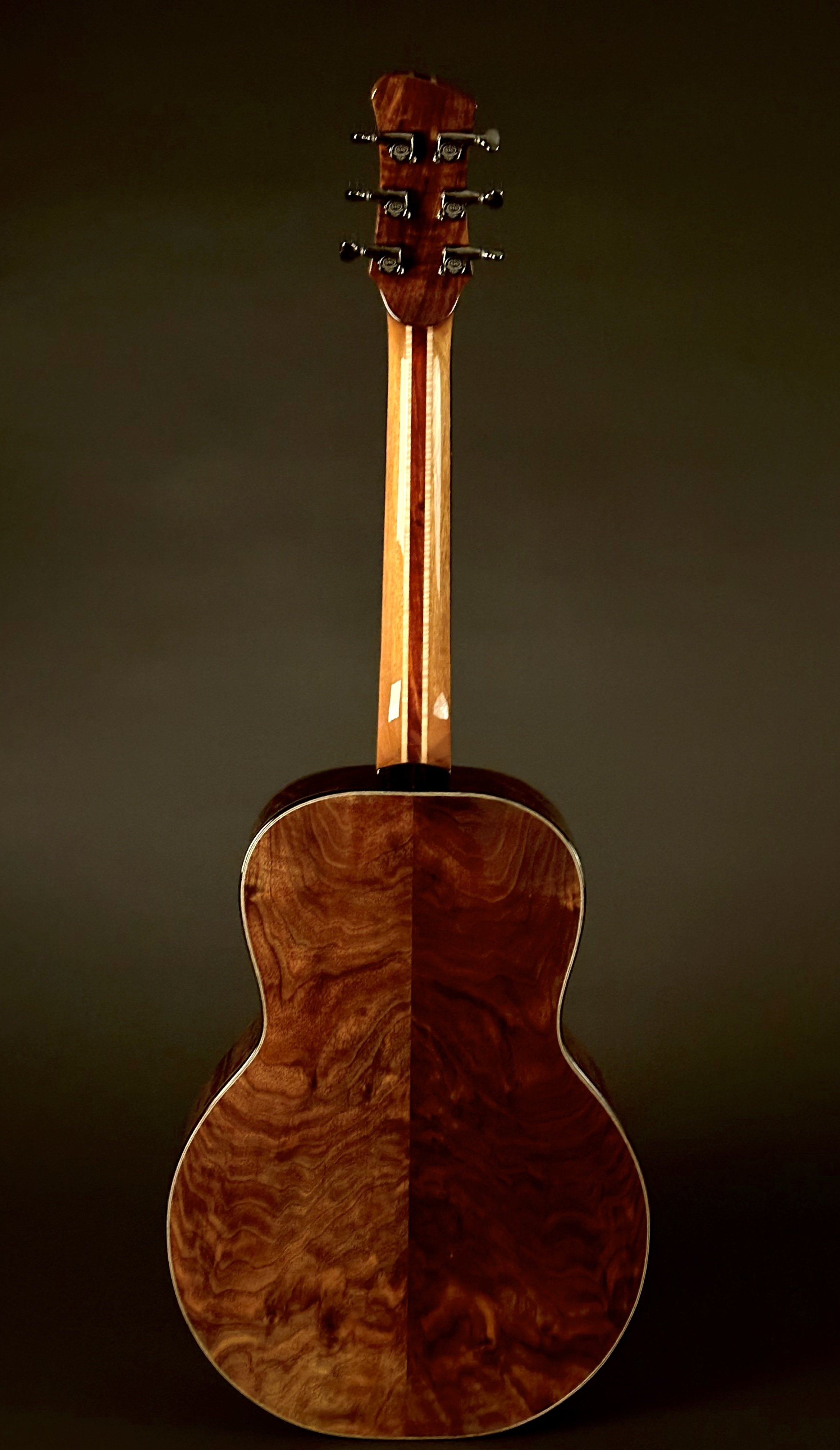 SP tunnel:walnut full body back.jpg