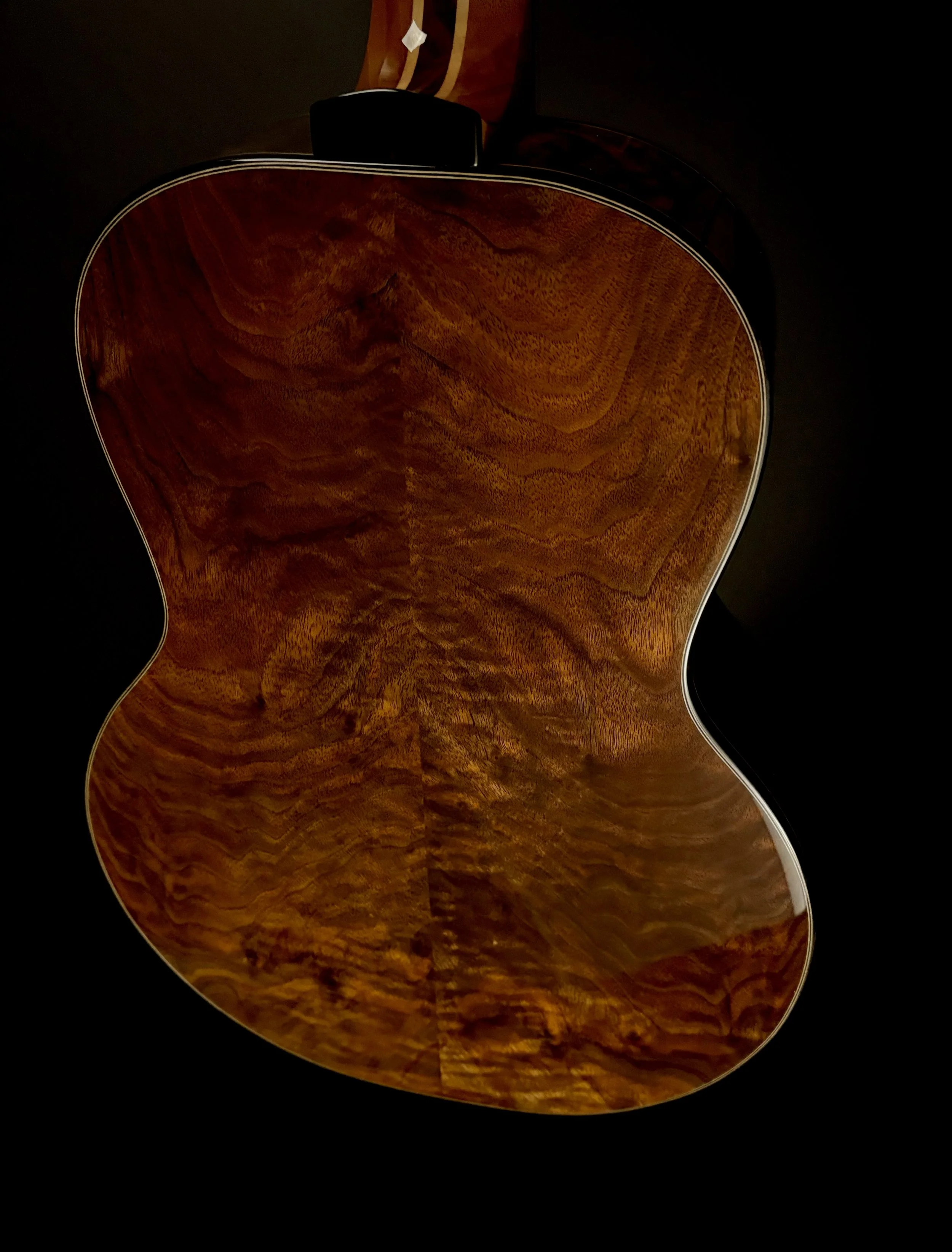 SP tunnel:walnut back body.jpg