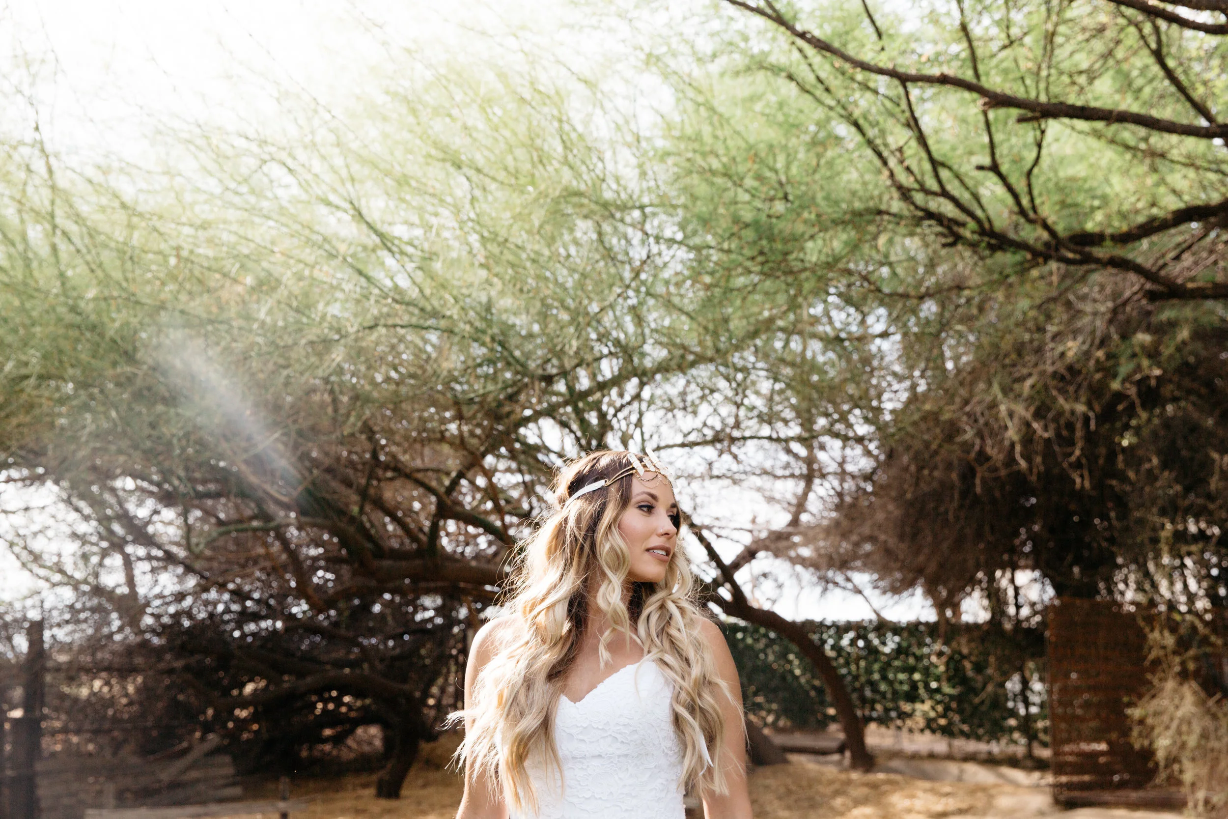 colorado-springs-wedding-photographer-36.jpg